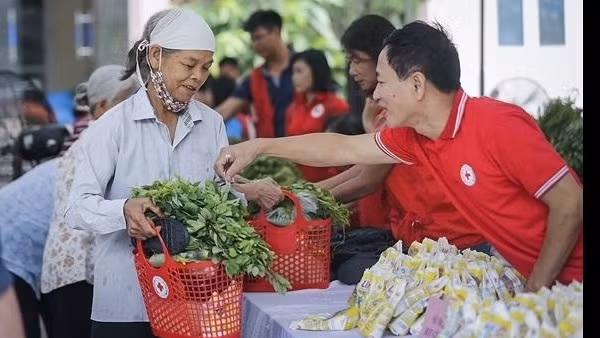 Forum connects enterprises in five Southeast Asian countries ảnh 2