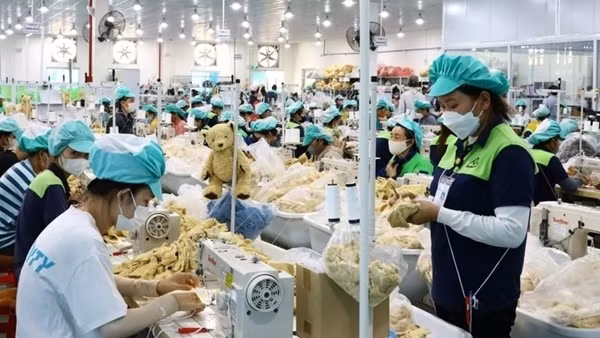 Vietnam exports over 8 million tonnes of rice, earning 4.1 billion USD in 2025 ảnh 3