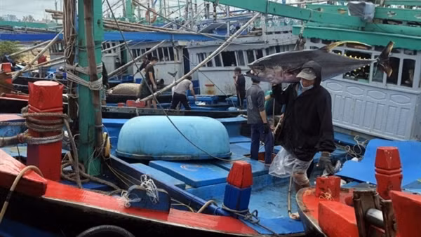 PM chairs teleconference on combating IUU fishing ảnh 3