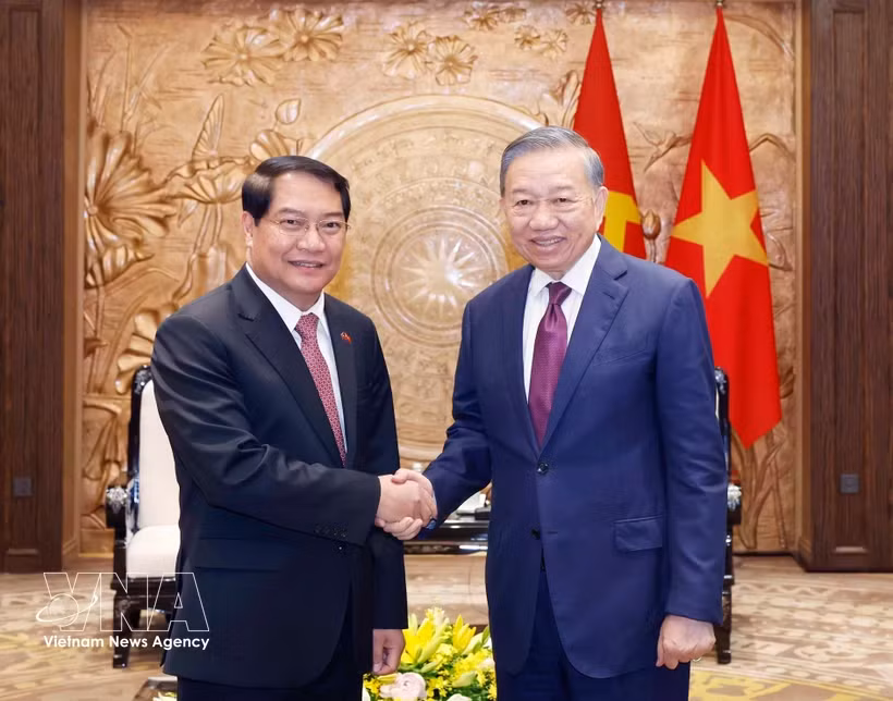 Top leader of Vietnam receives Vientiane official in Hanoi -0