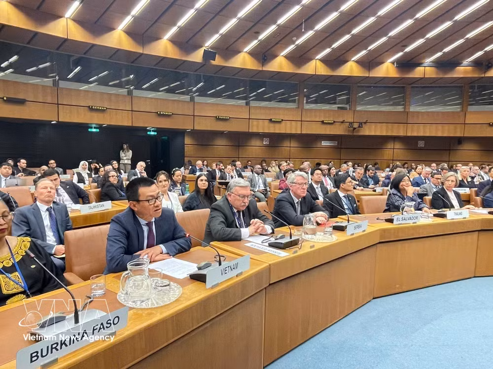 Vietnam promotes cooperation with United Nations on crime prevention -0