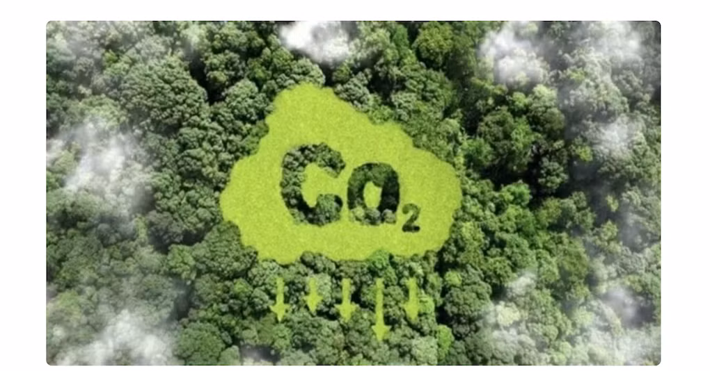 Ministry establishes monitoring framework for carbon market -0