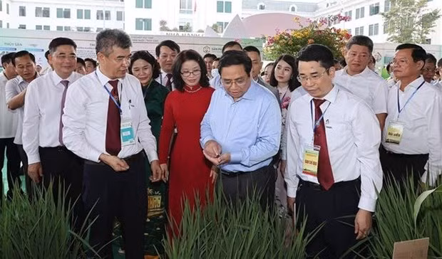 PM emphasises training of high-quality human resources for agriculture -0