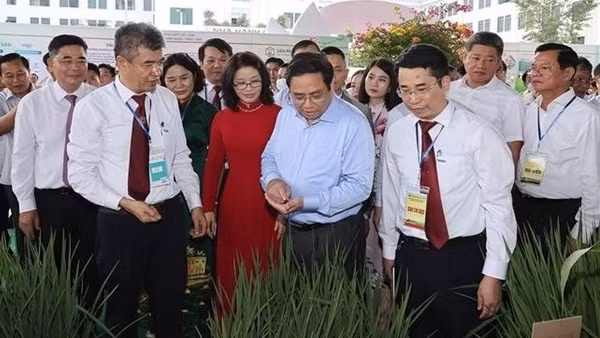 New mindset for Vietnam’s agriculture economy ảnh 3
