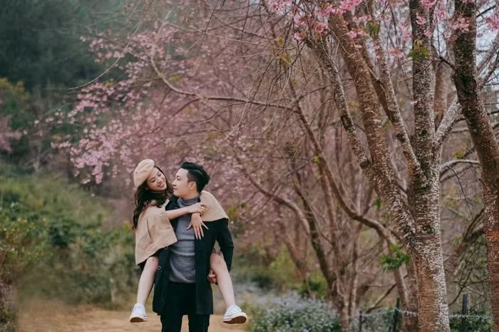 Cherry-like apricot blossoms brighten Lang Biang plateau -1