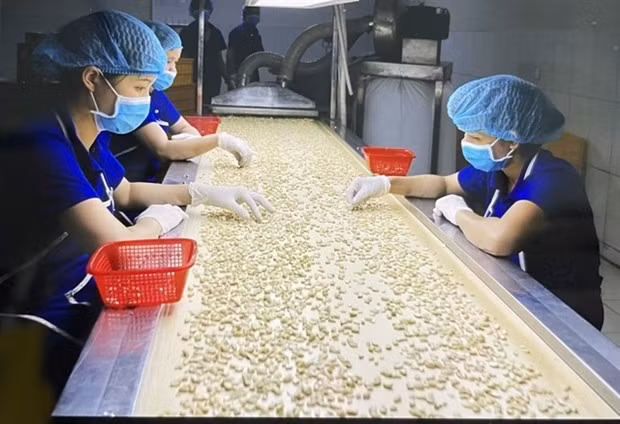 Vietnamese economy forecast to expand at 5.5 % in Q1 -0