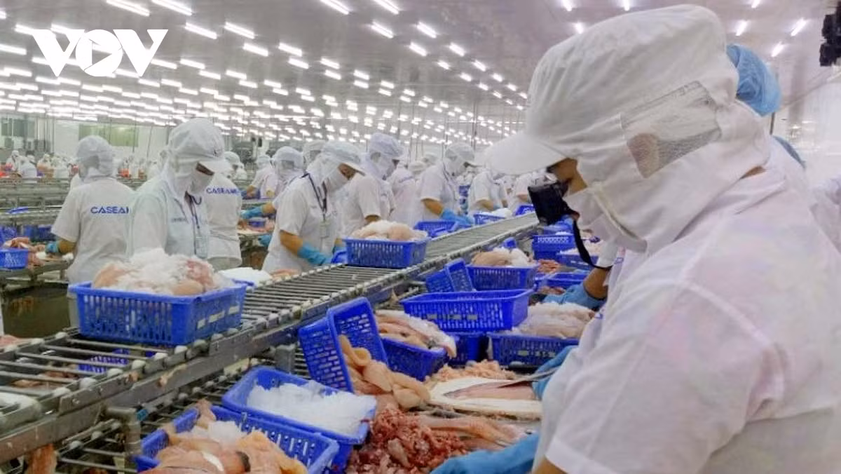 Foreign trade represents a bright spot for local economy in 2022 -0