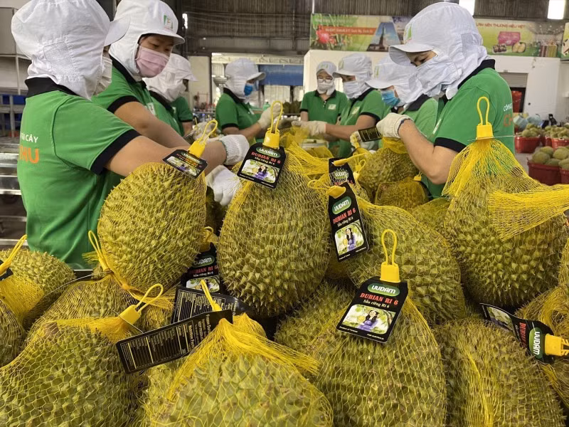 Vietnam-China trade reaches 90 billion USD -0