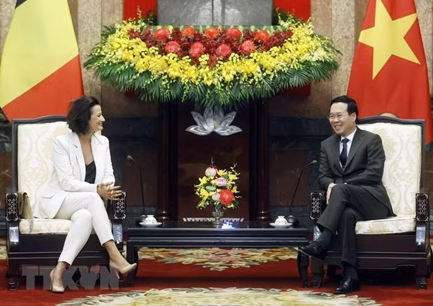 Vietnam keen on further promoting ties with Belgium: President -0