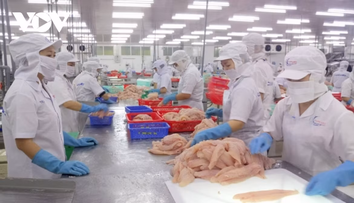 pangasius exports likely to rake in us 2.6 billion this year picture 1