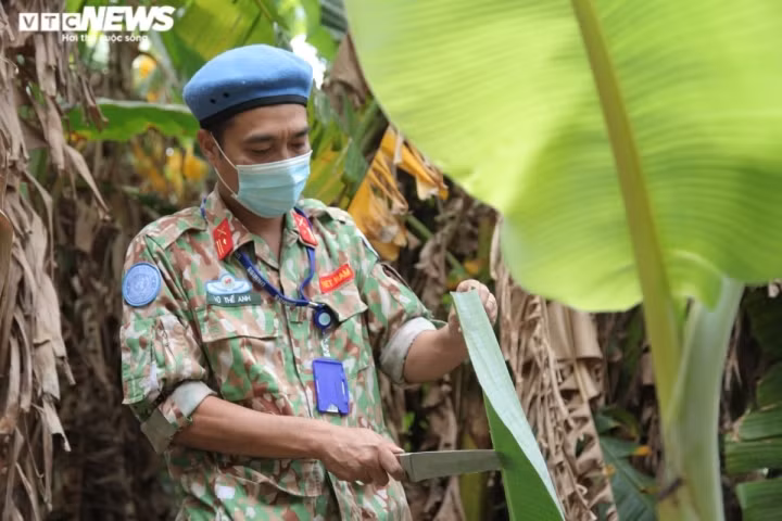 Vietnamese peacekeepers celebrate lunar New Year holiday in South Sudan ảnh 1 Despite being busy with routine work, Vietnamese staff members of level-2 field hospital No. 3 carry out a number of activities to celebrate Tet with their compatriots at home.