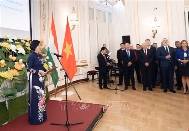 foreign diplomats congratulate vietnam on national day picture 2