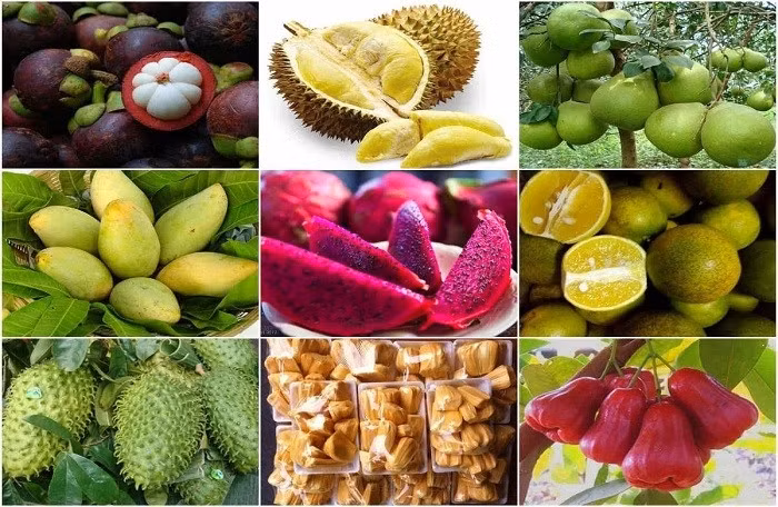 Vietnamese exports to Eurasia enjoy strong growth of approximately 18% ảnh 1 Fruit and vegetables are one of Vietnam's key export products to the EAEU market ( Photo: vietnamfinance.vn)