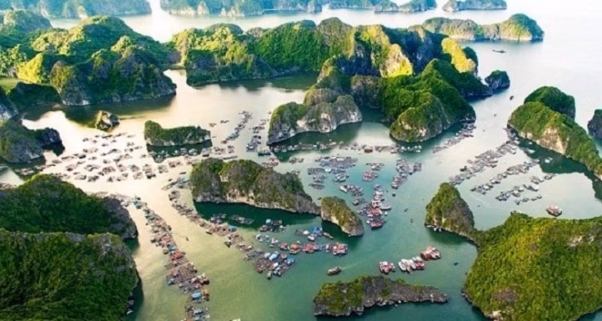 Vietnam to welcome back foreign travelers in November ảnh 1 The tourism sector will implement a pilot scheme to receive back international visitors following a month long hiatus caused by COVID-19.
