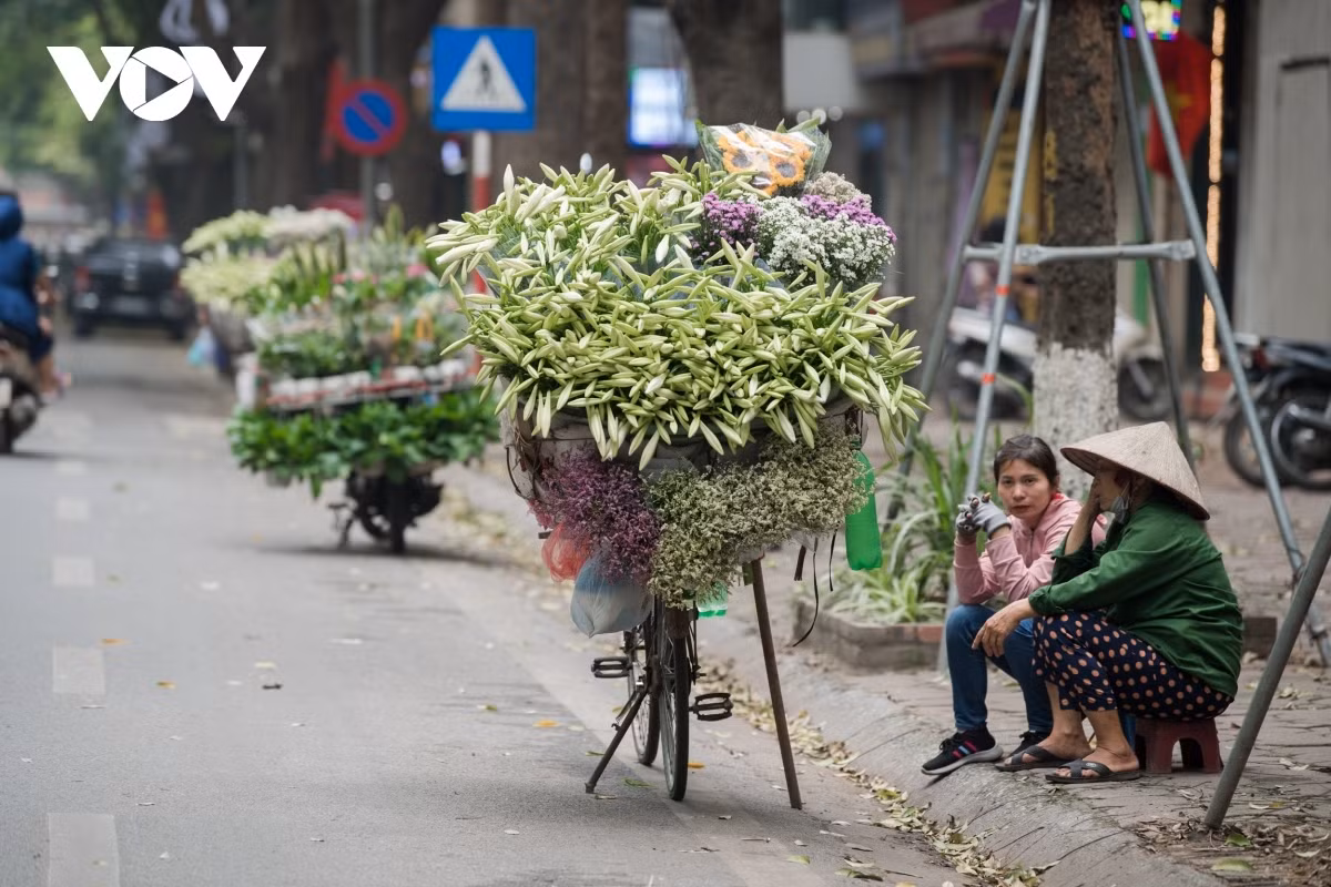 These days the people of Hanoi can easily spot lilies on streets such as Thuy Khe, Phan Dinh Phung, Lang Ha, and Thanh Nien.