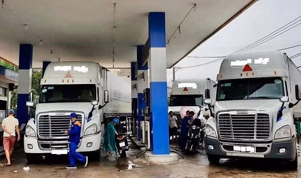 Transport businesses fall victim to petrol price hike ảnh 1