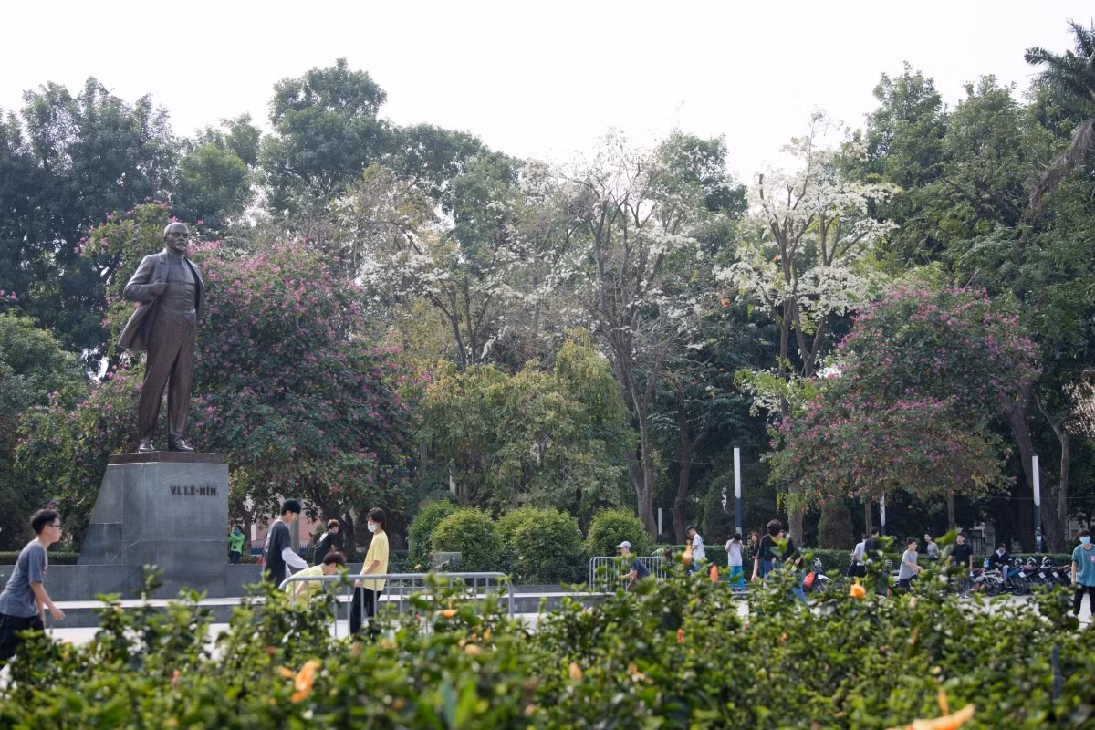 A corner filled with Hoa Sua in full bloom can be seen at Lenin park.