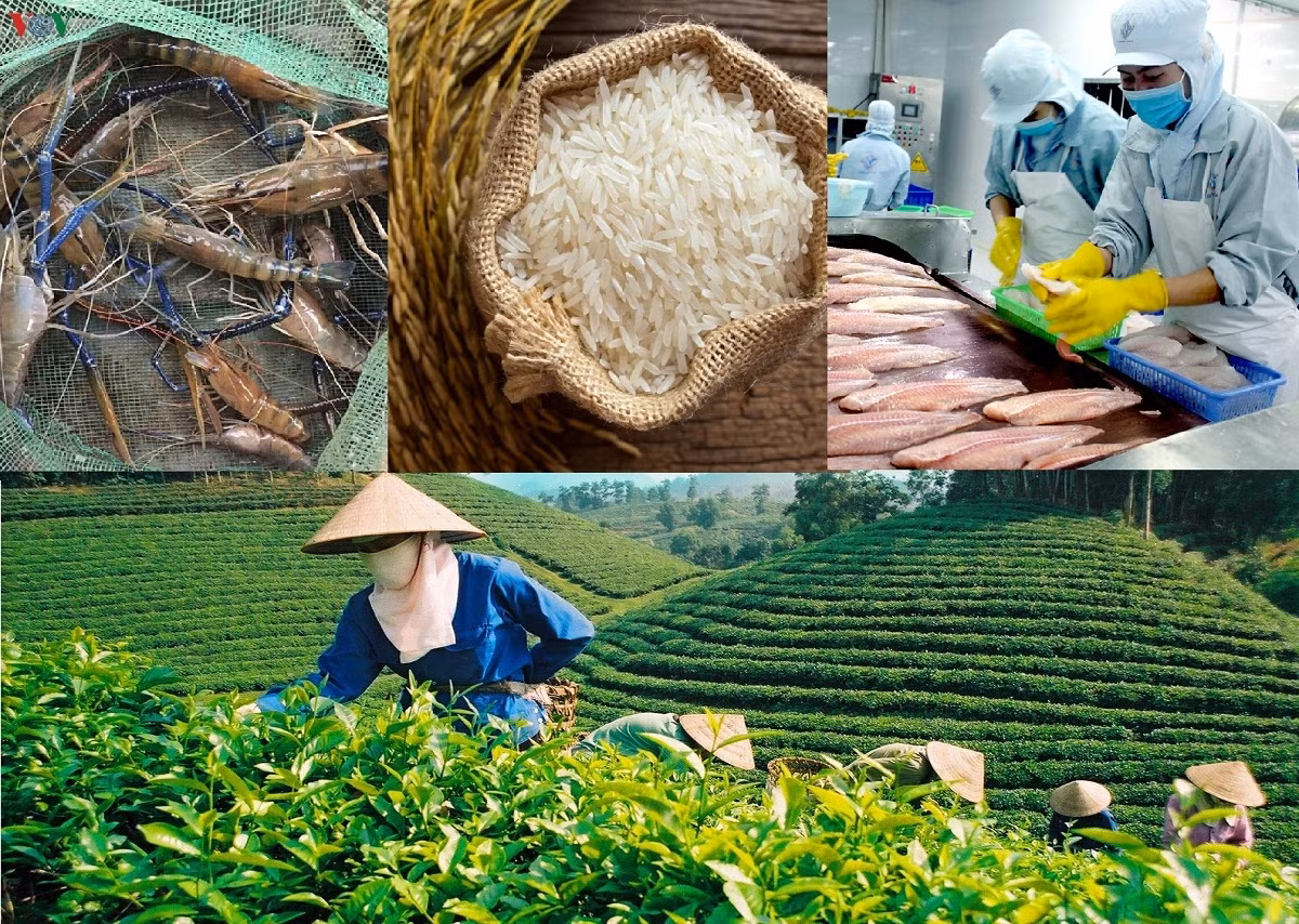 vietnam enjoys two-fold growth in agricultural trade surplus picture 1