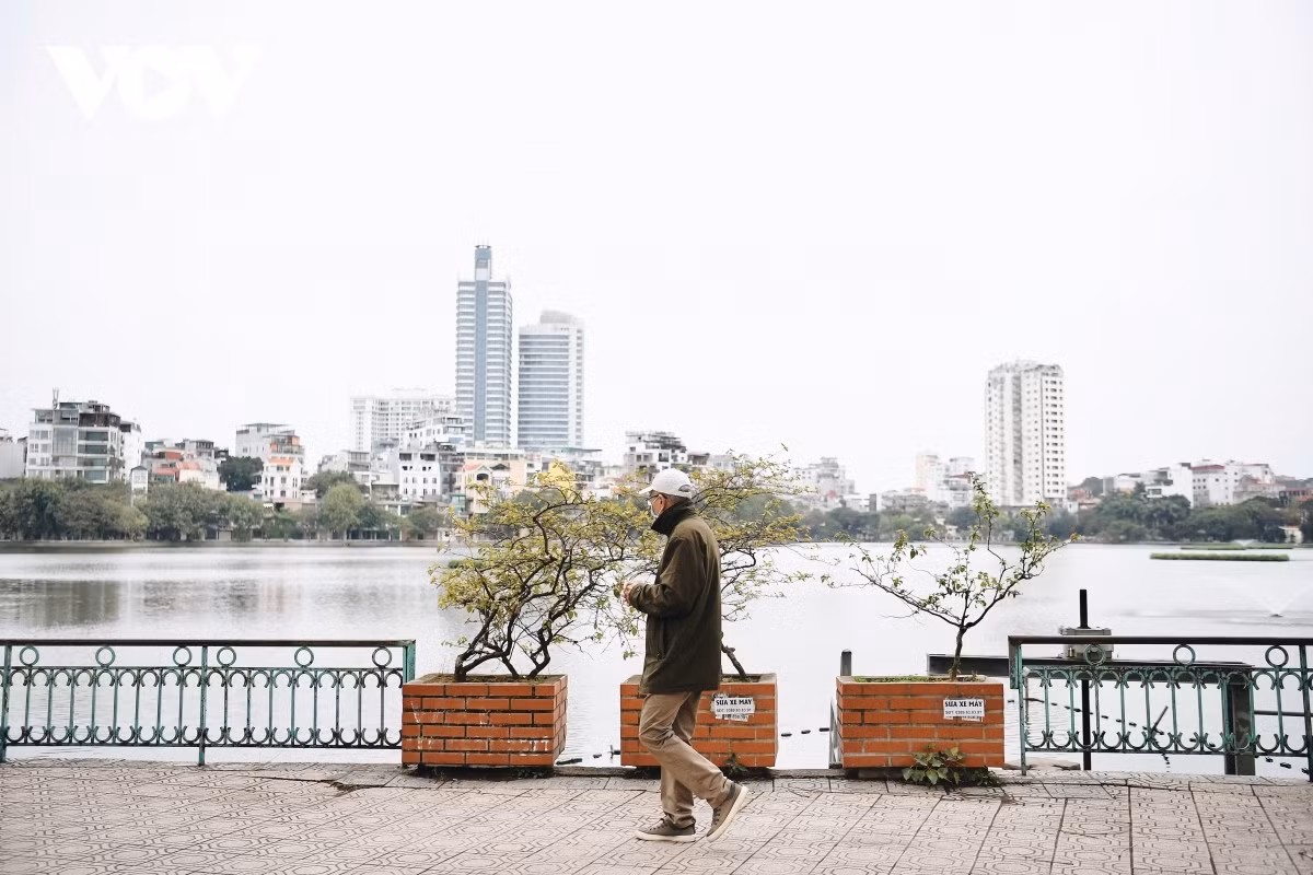 Peaceful and tranquil Hanoi on first day of Lunar New Year ảnh 4 An old man heads out for a stroll to enjoy the fresh air on the first morning of the Lunar New Year.