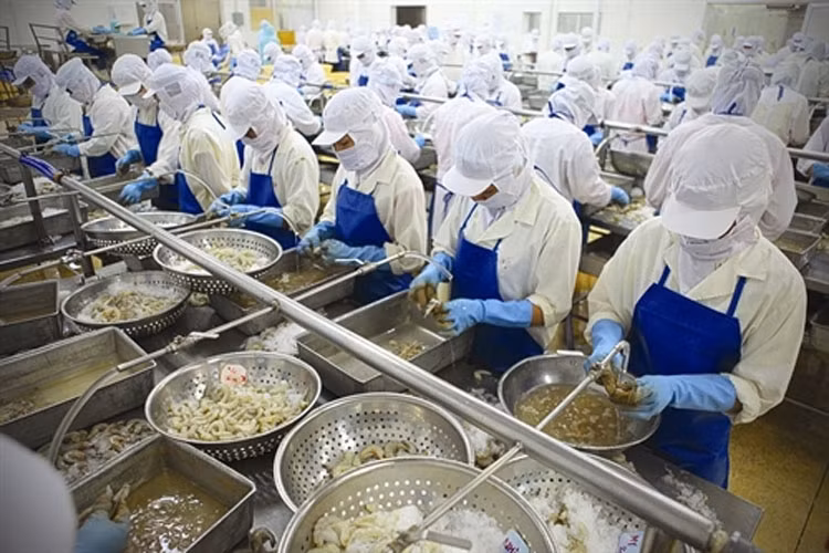 Shrimp exports to the US market enjoy robust growth&nbsp;