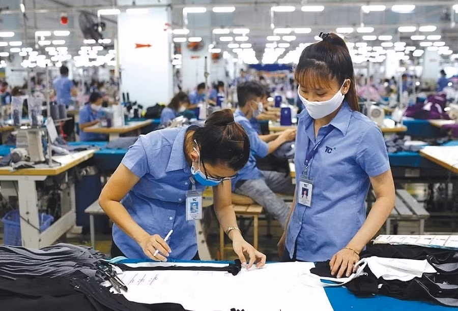 Businesses continue to utilise incentives from EVFTA ảnh 1