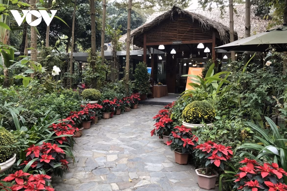 Tet space from bygone era recreated in Hanoi capital ảnh 1 The unique space has been recreated recently on An Duong street of Tay Ho district.