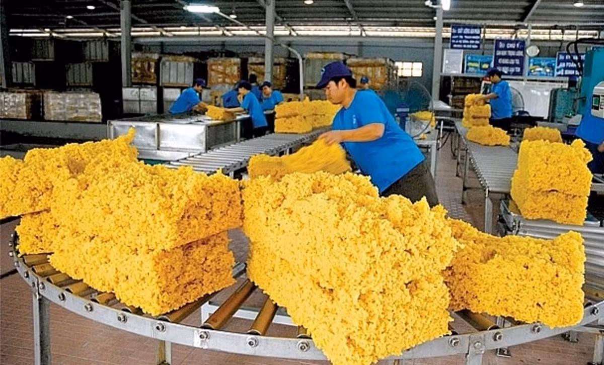 Positive prospects for rubber exports to US in 2022 ảnh 1