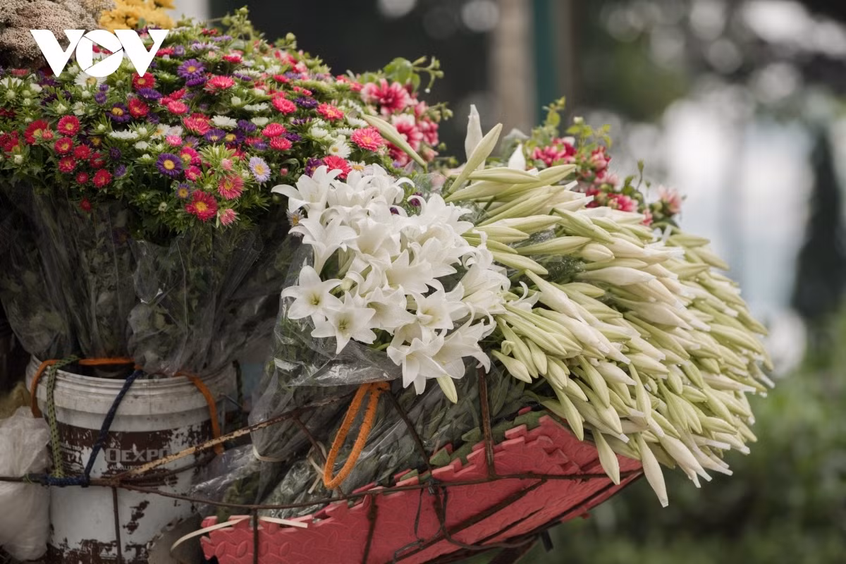 Hanoi welcomes romantic atmosphere with lily flower blooming season ảnh 10