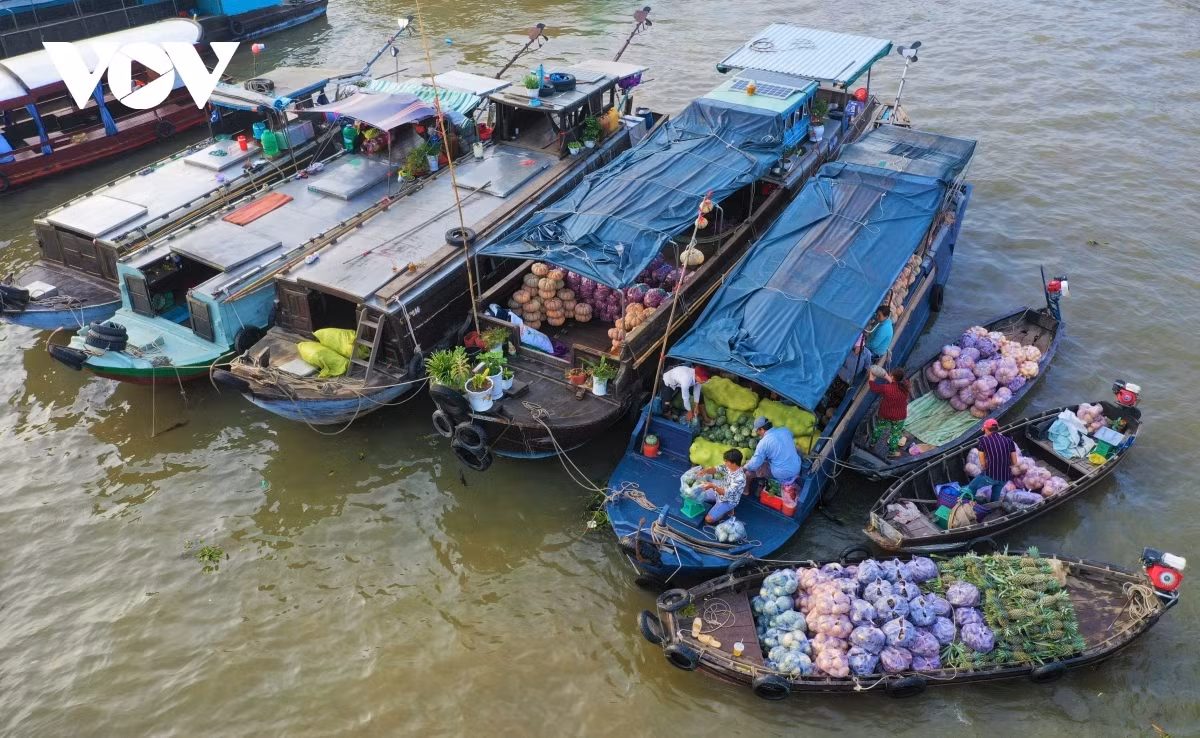 vietnam remains attractive tourism destination in post-pandemic period picture 5 vietnam remains attractive tourism destination in post-pandemic period picture 5