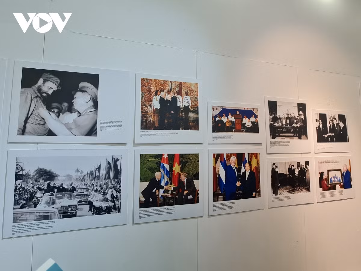 The exhibition is scheduled to run until November 23.