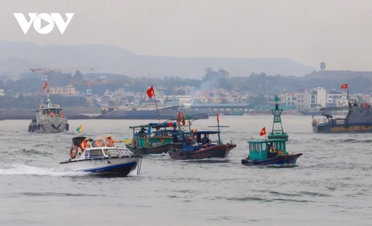 Relevant forces immediately approach, guide and tow fishing vessels and cruise ships to anchor safely at Cai Lan port.