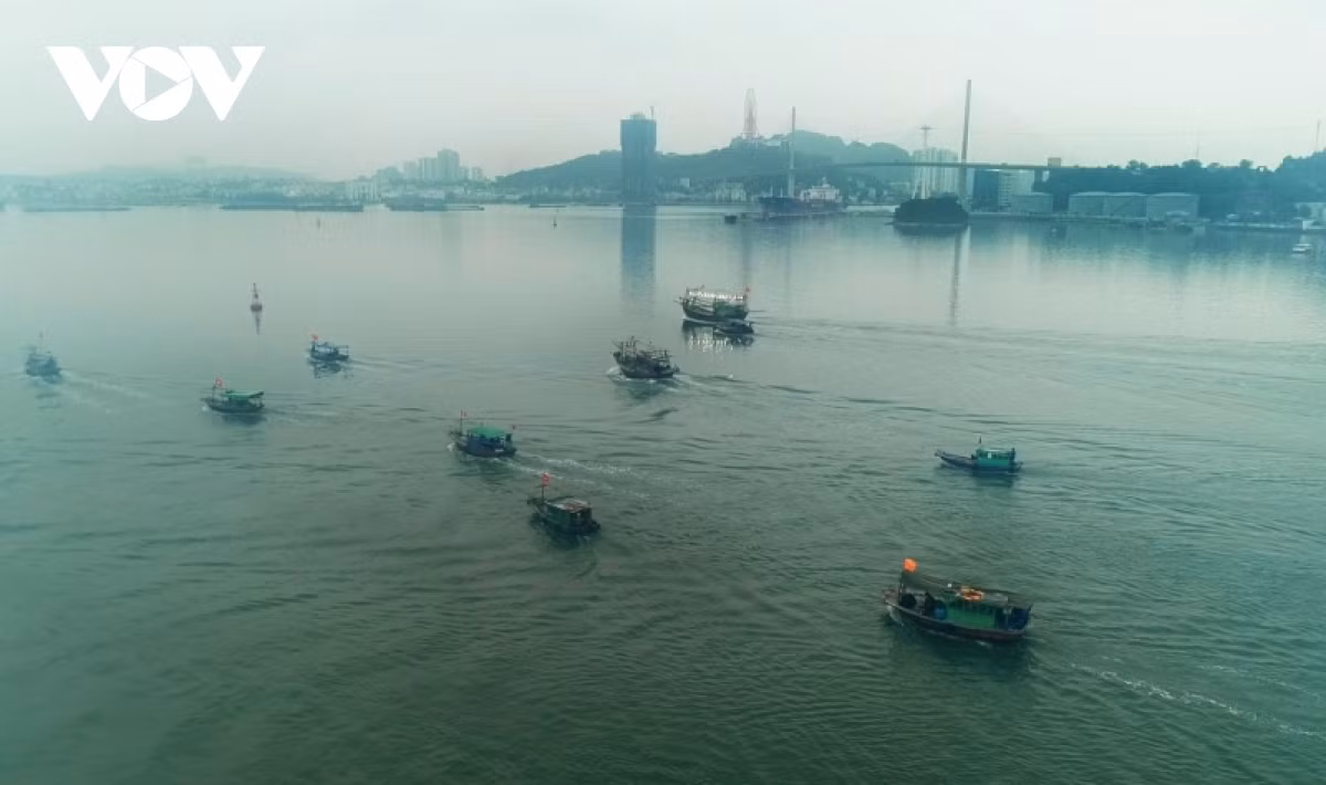 The northern border province of Quang Ninh is impacted by 5-6 powerful storms every year, causing considerable damage to the locality, especially coastal areas.