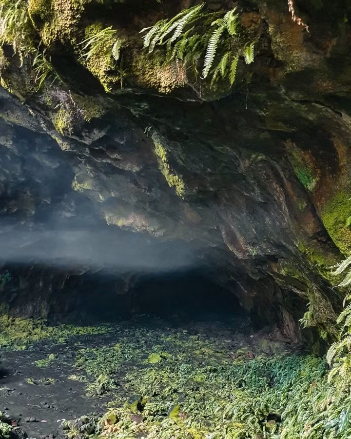 The 2,000 square kilometre volcanic cave system extends from Krong No district to several neighbouring communes of Cu Giut, Dak Min, Dak Song, and Dak Glong district, as well as Gia Nghia town. (Photo: flavourofthesouth)