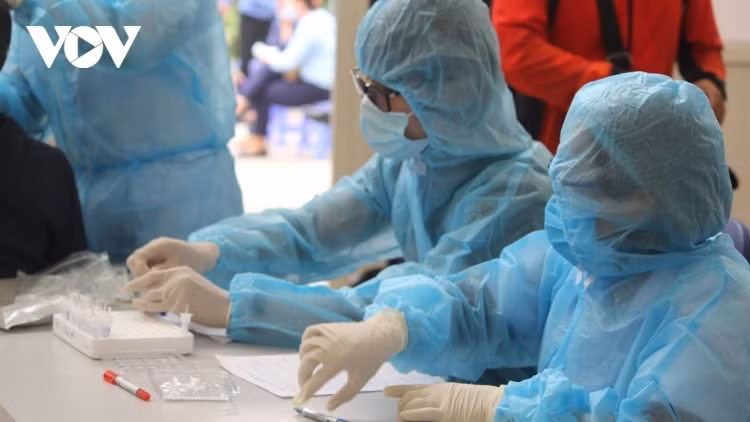 COVID-19: Virus infections rise again in Vietnam ảnh 1 Healthcare workers working on sample labelling