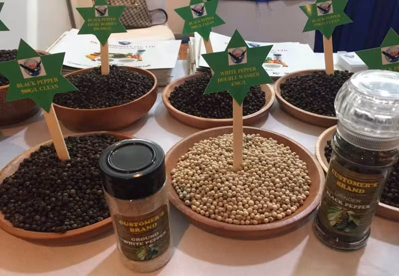 The share of Vietnamese&nbsp;pepper exports to the EU increase from 20.21% in the first quarter of 2021 to 28.08% in the first quarter of this year.