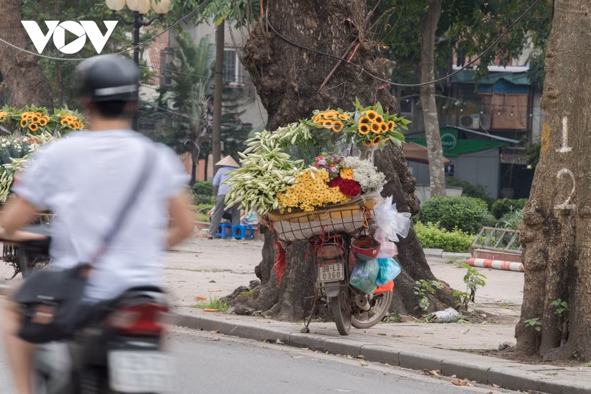 Hanoi welcomes romantic atmosphere with lily flower blooming season ảnh 12
