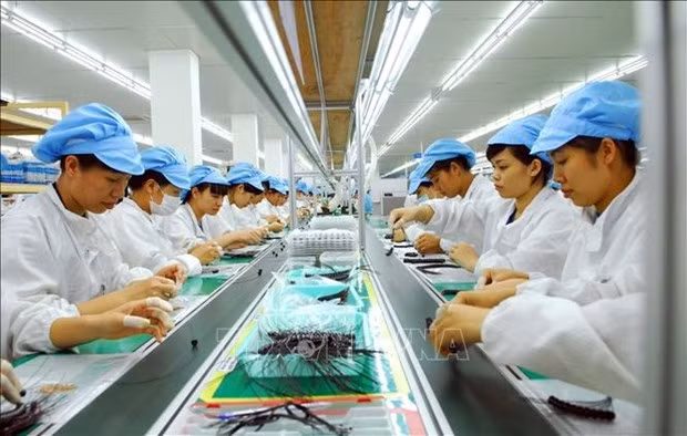 Vietnam's electronics industry appeals to foreign investors: entrepreneur.com ảnh 1