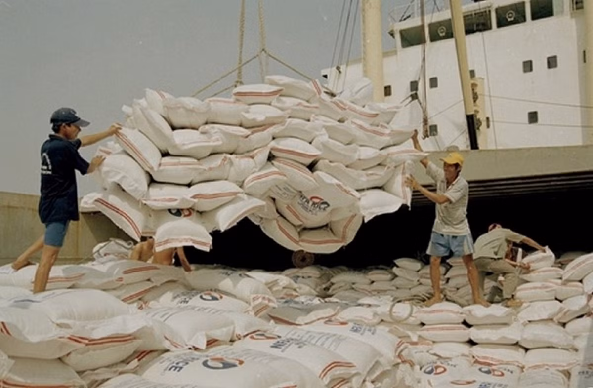 Custom watchdog tightens control over origin fraud of Vietnamese rice ảnh 1