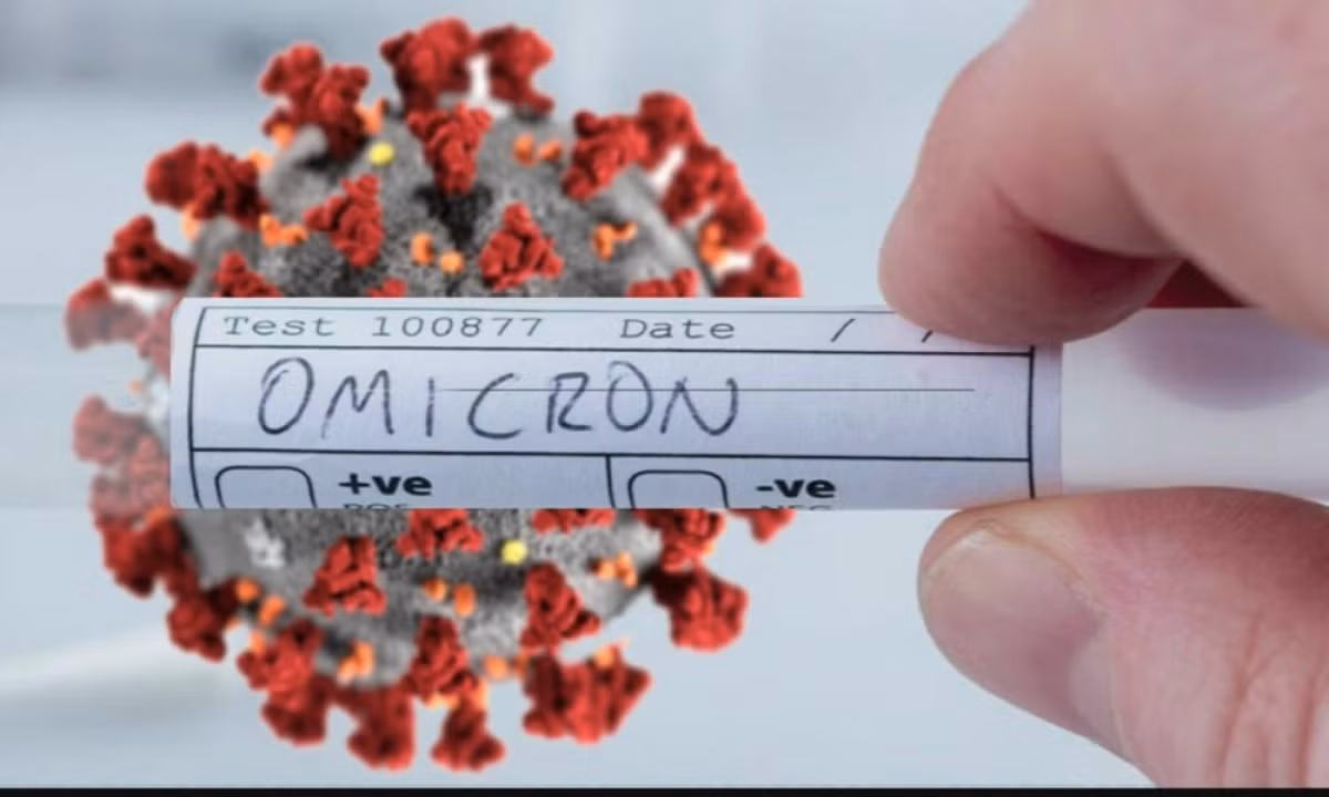 Vietnam must be cautious about mutated Omicron variant, say experts ảnh 1