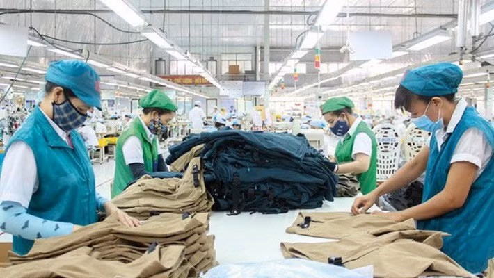 Austrian businesses remain keen on Vietnamese consumer goods ảnh 1