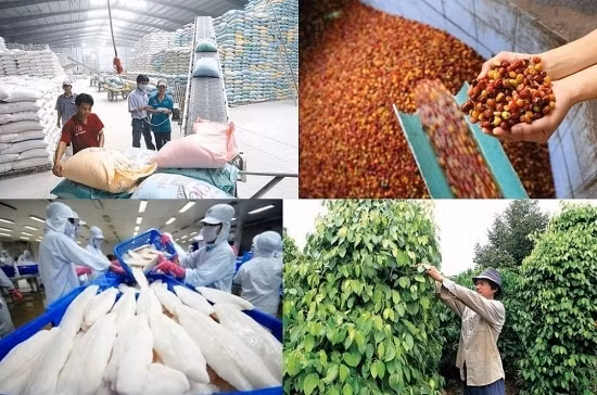 Agro-forestry-fisheries exports hit record high this year