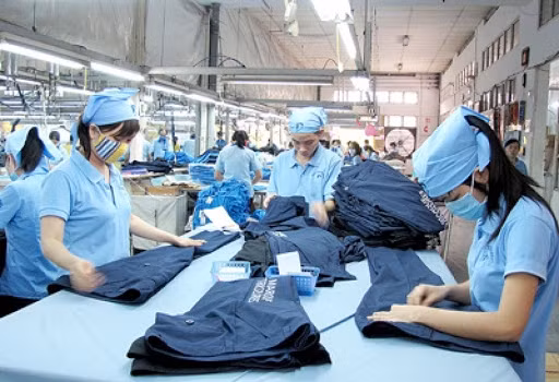 RCEP creates higher export opportunities for local businesses ảnh 1 RCEP creates higher export opportunities for local businesses ảnh 1