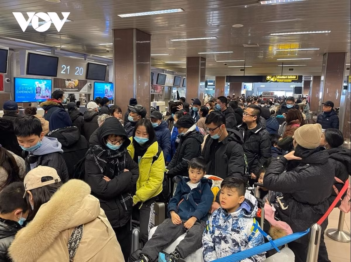&nbsp;Ambassador Dang Tran Phong highly appreciates the effective cooperation of the Embassy's staff and the overseas Vietnamese community, and the Romanian Government's assistance in organizing the flight.