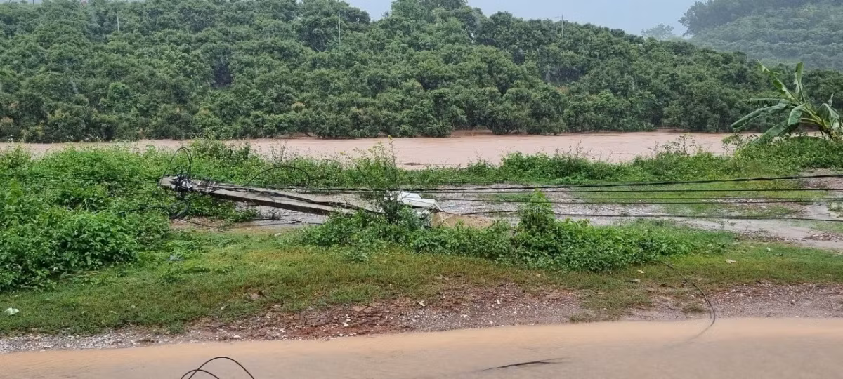 Hundreds of hectares of lychees and crops that were in the harvest season have been left flooded.