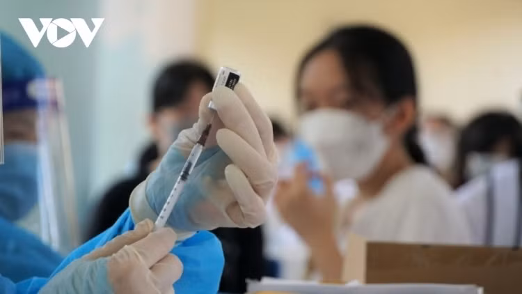 Two COVID-19 fatalities recorded amid halt to domestic health declaration ảnh 1