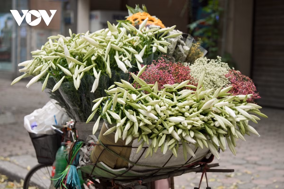 Lilies usually stand out among other colourful flowers that are for sale on the street due to their simplicity and beauty.