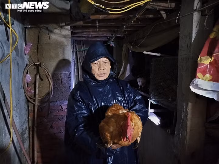 Flooding turns life upside down for residents in central Vietnam ảnh 13 A man in Ha Tinh province is busy moving valuable things and poultry to a safe place for fears that floodwaters are going to rise high locally.