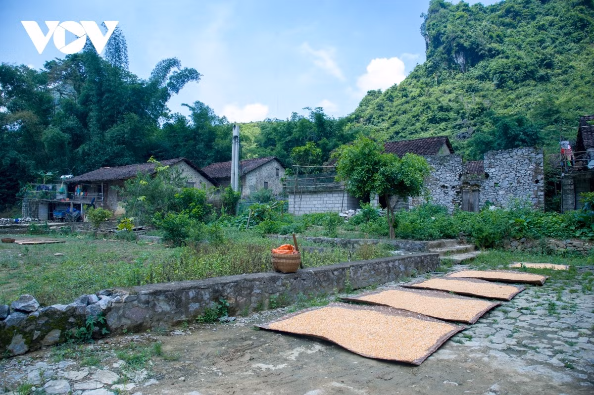 Discover unique Khuoi Ky stone village in Cao Bang ảnh 7 A corner of Khuoi Ky stone village.