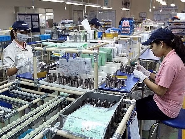 HCM City attracts additional investments into industrial parks ảnh 1