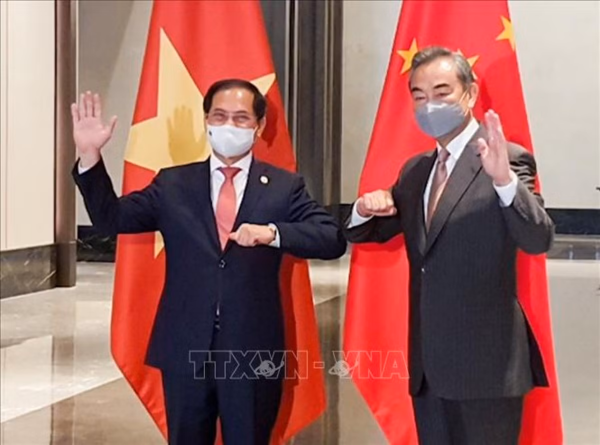 Vietnamese FM pays official visit to China ảnh 1 Vietnamese Foreign Minister Bui Thanh Son (L) meets with Chinese State Councilor and Foreign Minister Wang Yi on the occasion of attending special ASEAN-China Foreign Ministers' Meeting in Chongqing city and the 6th Mekong - Lancang Cooperation Ministerial Meeting (Photo:VNA)
